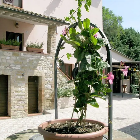 Village Assisi