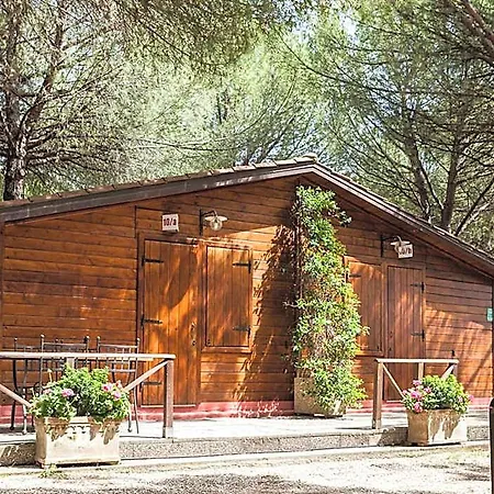 Village Πάρκο διακοπών